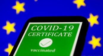 Чи можуть звільнити з роботи в Польщі за підробку COVID-сертифіката