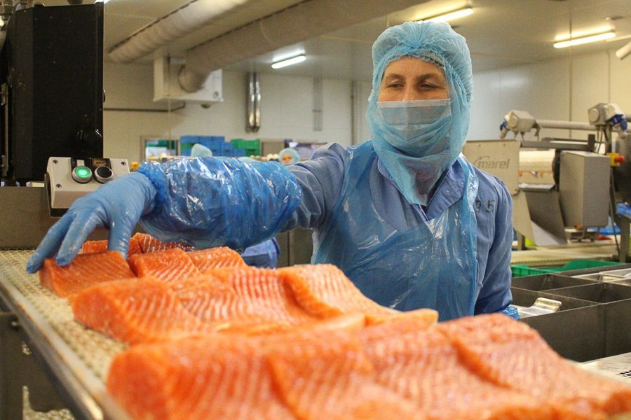 Умови роботи в Польщі на рибному заводі